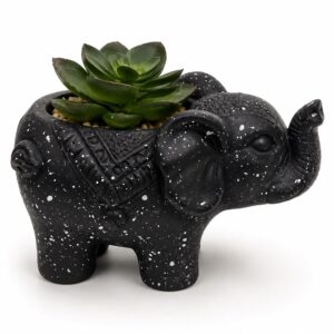 ELEFANTE 12X7CM